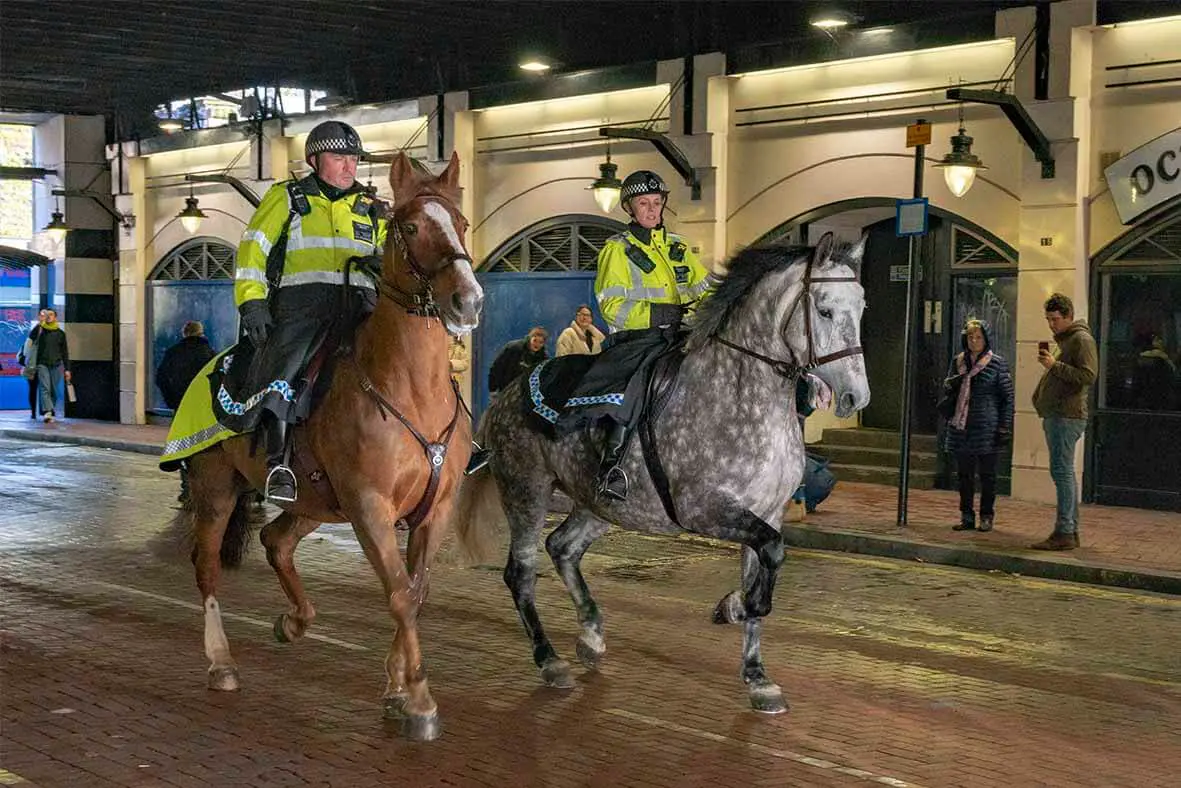 Two Mounted Police and Horses Riding Through London