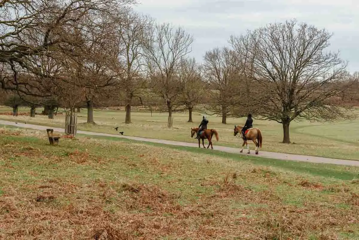 A Mindful Horse Ride in Richmond Park
