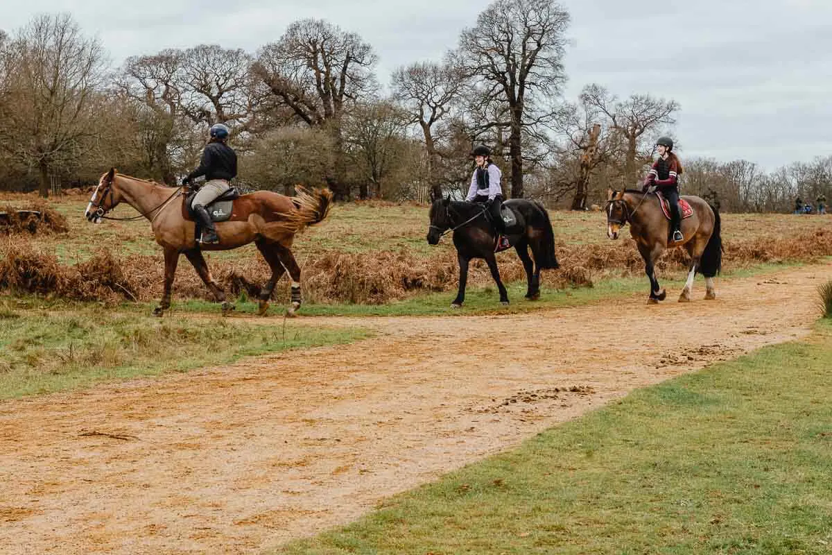 Riders and Horses in Richmond Park