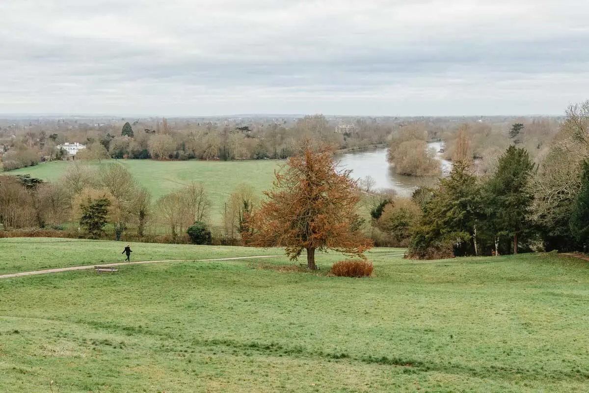 Mindful View of The Thames River From Richmond Hill