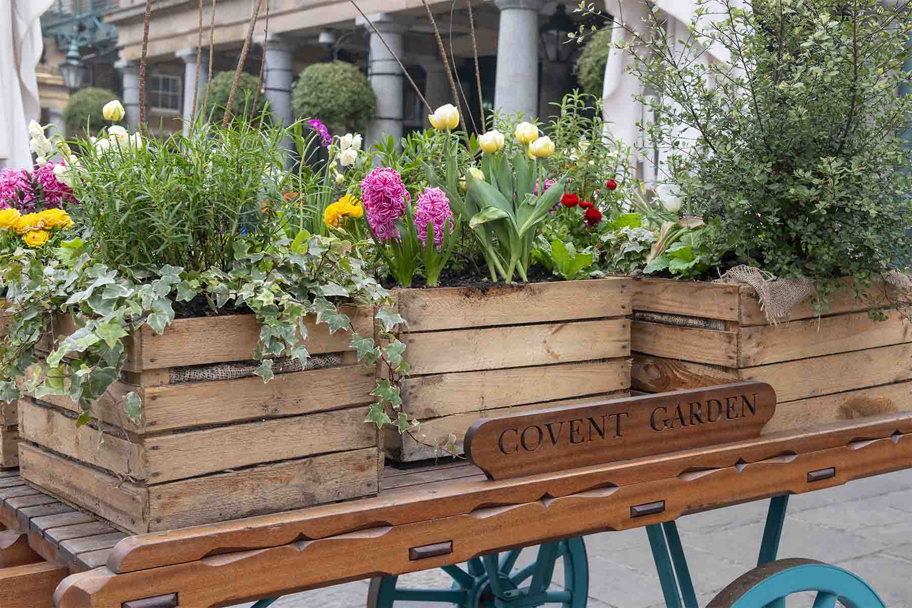 Covent Garden Wellness Things To Do