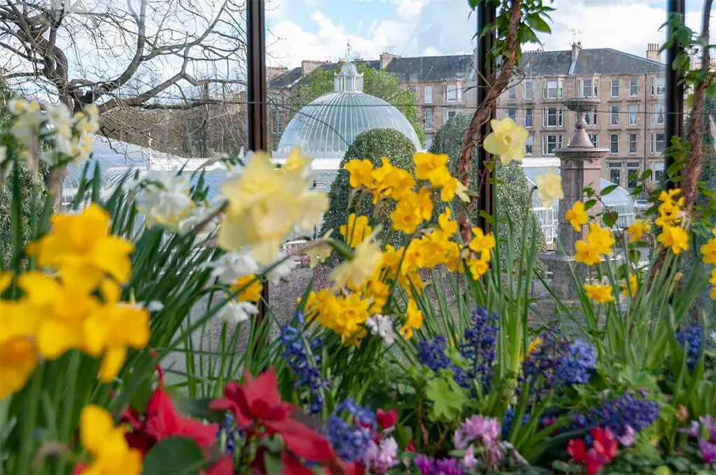 Glasgow Botanic Garden Mindful Glasshouse