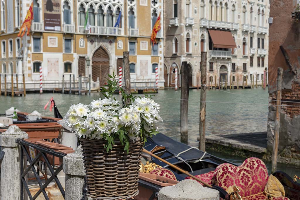 Best Coffee Shops in Venice