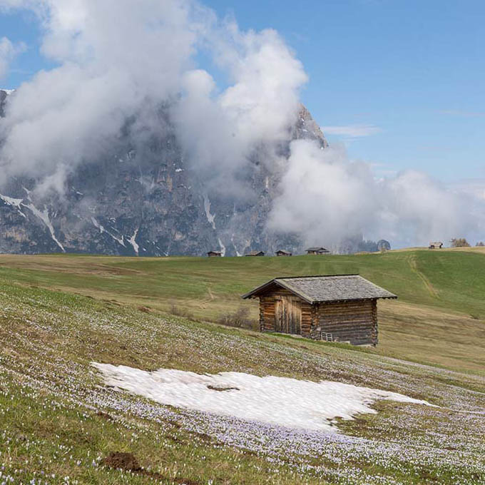 Crocuses & Snow: A South Tyrol Photo HIke