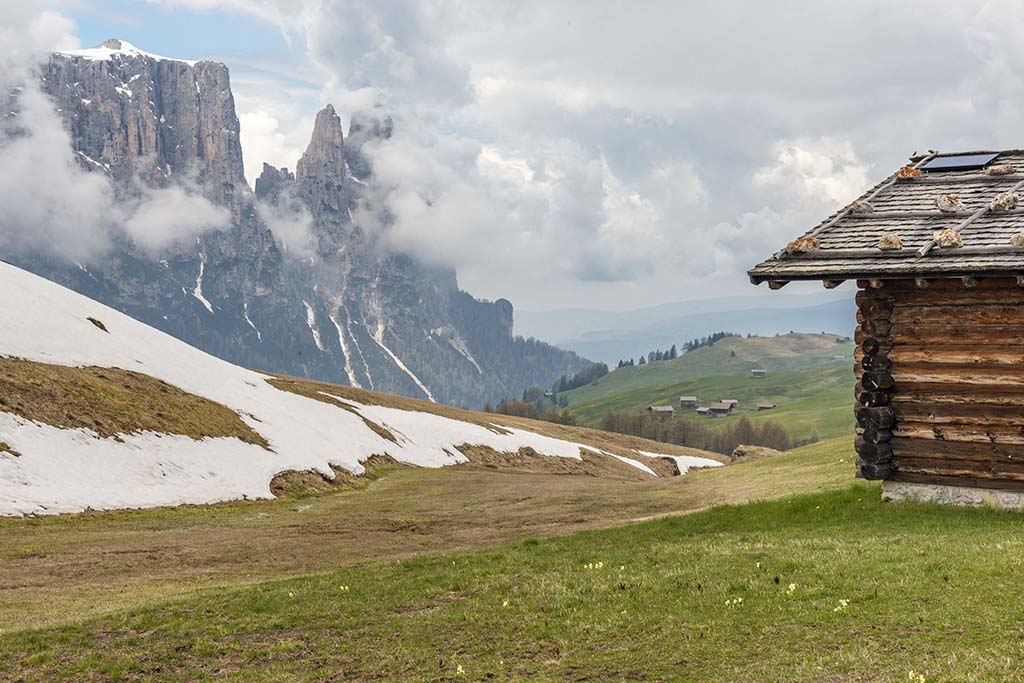 A South Tyrol Photo Hike in Alpe di Siusi