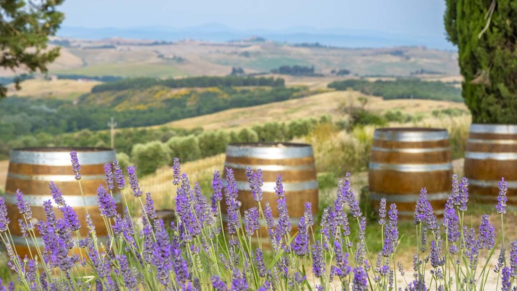 Mindful Travel in Italy: 7 Ways to Be Present & Find Travel Bliss