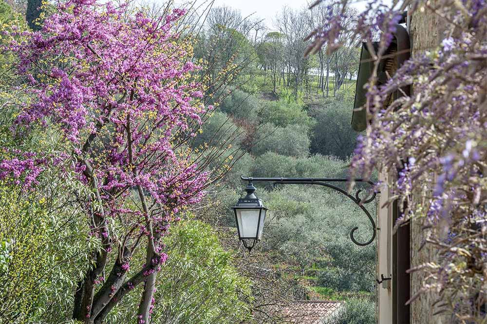 La Dolce Vita: The Italian Lifestyle as a Blueprint for Holistic Wellness