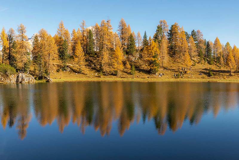 Embracing The Magic of Autumn with Mindful Photography